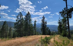 Lot A Blue Star Lane, Pinehurst, ID 83850