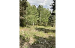 1320 State Hwy 150, Taos Ski Valley, NM 87525-0000