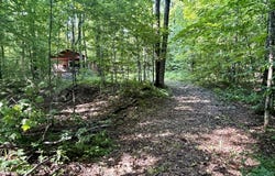 4983 Blackberry Lane, Elmira, MI 49730