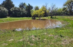 35 Ac FM 1512, Donie, TX 75838
