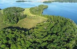 Tbd TBD, Walker, MN 56655