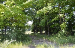 7573 ALDEN HIGHWAY, BELLAIRE, MI 49615