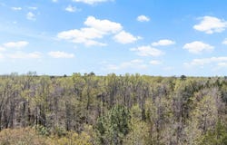Lot 1 & 2 CR 4365, Mount Pleasant, TX 75455