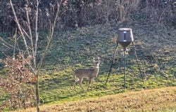 250 Justin Ln., Mcminnville, TN 37110