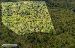 158 Rocky Road, Otisfield, ME 04270