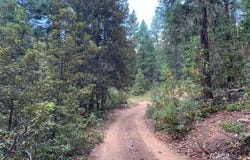 361 Mule Lovers Ln, Hayfork, CA 96041