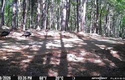 CR 255 (LAFAYETTE COUNTY), THAXTON, MS 38871