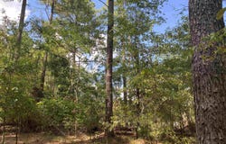 0 Sandy Springs Road, Pelzer, SC 29669