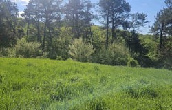 35 Ac County Road W, Elroy, WI 53929