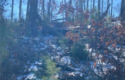 38 Waterside Point, Abbeville, SC 29620