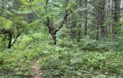 Worcester Providence Tpke, Millbury, MA 01527