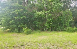 164 Park Place, Sylvester, GA 31791