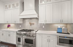 25811 YELLOW BIRCH Court, ALDIE, VA 20105