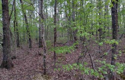 1 Rubi Lane, Hot Springs Village, AR 71909