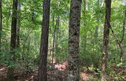 2.03 ac Johnson Mill Road, Hamilton, GA 31811