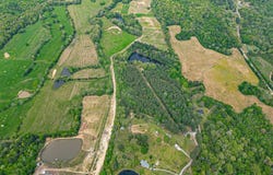 0 Charlie Edmonds Road, Whiteville, TN 38075