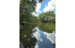 853 CR 206, Bremond, TX 76629
