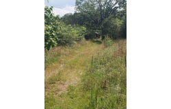 20671 Hwy 195, Double Springs, AL 35553