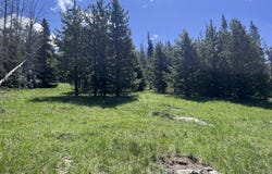 NHN Rimini Rd, Helena, MT 59601