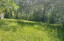 21646 NW 58TH COURT, MICANOPY, FL 32667