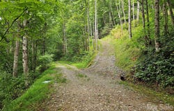 Wayward Cove, Clyde, NC 28721