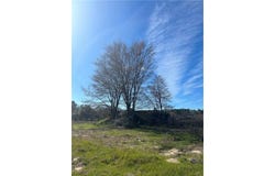 2133 FM 2423, Grapeland, TX 75844