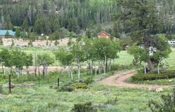 466 Navajo Rd, Red Feather Lakes, CO 80545