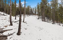 10445 Highway 2 W, Marion, MT 59925