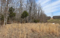 12 Berryman Cutoff, Steelville, MO 65565