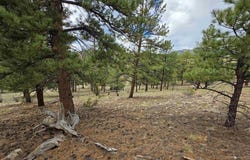 511 Church Creek Drive, South Fork, CO 81154