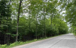 Parcel "A" W Smith Lake, Manistique, MI 49854