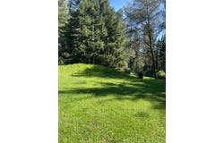 500 Wildberry DR, BOULDER CREEK, CA 95006