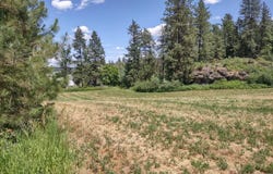 XX EHORN LN, CHEWELAH, WA 99109