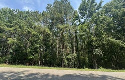 Lot 1-e Ridge Road, Appling, GA 30802