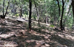 0 Adrian Drive, Magalia, CA 95954