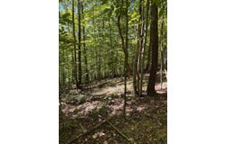 3825 Highway 191, West Liberty, KY 41472