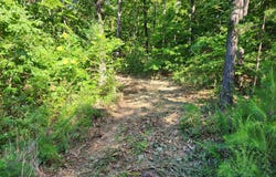 5027 Allegheny Cove Way, Maryville, TN 37803