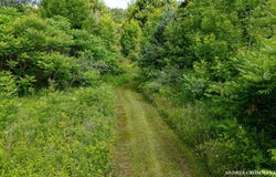 9325 S Cedar Drive, Allendale, MI 49401