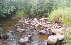 593xx Wolf Creek Rd, Fleming Twp, MN 55712