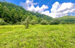0 Left Fork Marshalls Branch, McRoberts, KY 41537