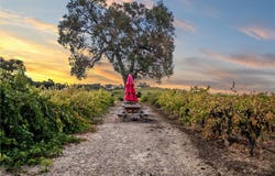 3000 Oakdale Rd., Paso Robles, CA 93446