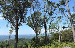 Lot 50 Mountain Grove Lane, Fletcher, NC 28732