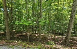 Oak Leaf Lane lot: 555, Dunlap, TN 37327