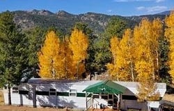571 Ponderosa Drive, Florissant, CO 80816