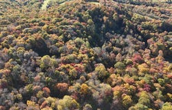 Braughler Rd, Marion Center, PA 15759