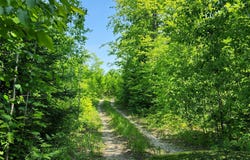 3625 E SIMMONS RD, HESSEL, MI 49745