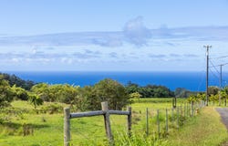 29-605 CHIN CHUCK RD, Hakalau, HI 96710