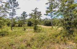 7435 Tidwell Rd, Pace, FL 32571