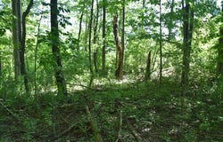 3210-072-6 BLOOMING VALLEY Road, Meadville, PA 16335
