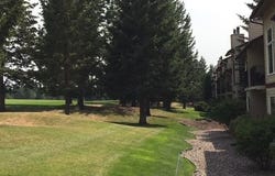 555 St. Andrews Drive unit: 312 E, Columbia Falls, MT 59912